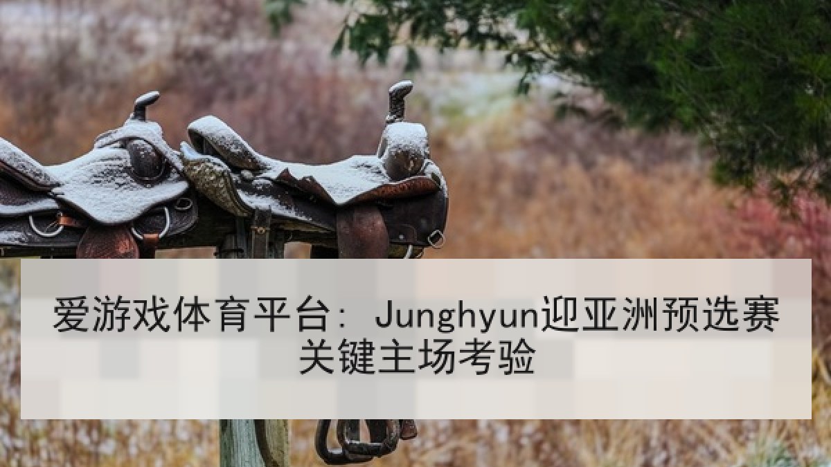 爱游戏体育平台: Junghyun迎亚洲预选赛关键主场考验