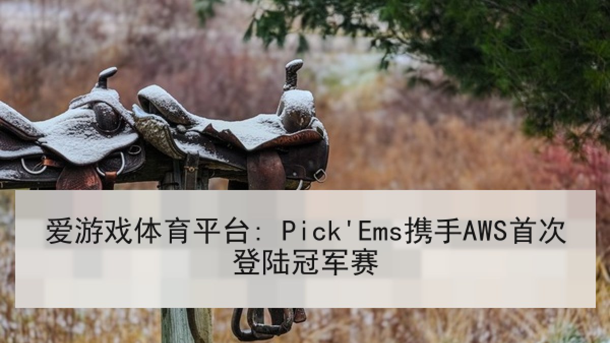 爱游戏体育平台: Pick'Ems携手AWS首次登陆冠军赛