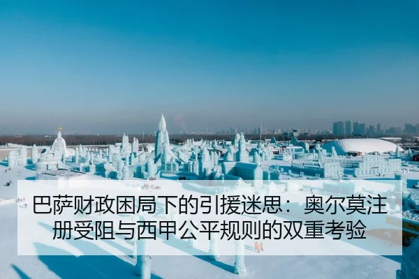 ba-sa-cai-zheng-kun-ju-xia-de-yin-yuan-mi-si-ao-er-mo-zhu-ce-shou-zu-yu-xi-jia-gong-ping-gui-ze-de-shuang-chong-kao-yan-2-246.jpg