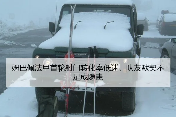 mu-ba-pei-fa-jia-shou-lun-she-men-zhuan-hua-lv-di-mi-dui-you-mo-qi-bu-zu-cheng-yin-huan-3-902.jpg