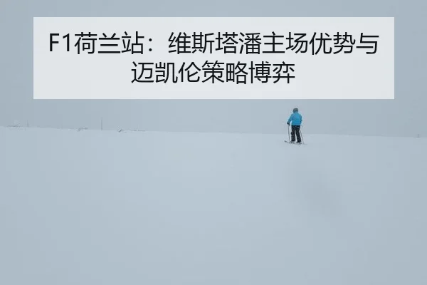 he-lan-zhan-wei-si-ta-pan-zhu-chang-you-shi-yu-mai-kai-lun-ce-lve-bo-yi-3-604.jpg