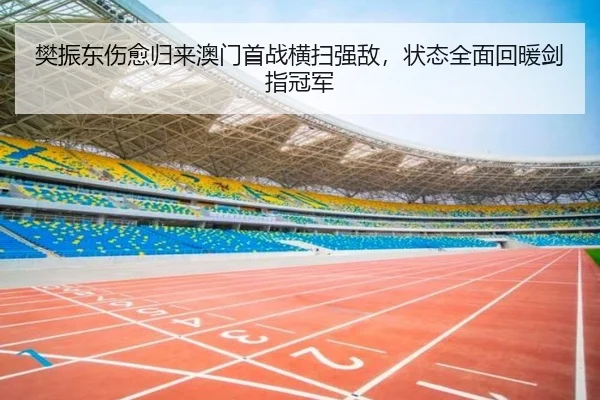 樊振东伤愈归来澳门首战横扫强敌，状态全面回暖剑指冠军