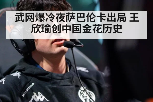 武网爆冷夜萨巴伦卡出局 王欣瑜创中国金花历史